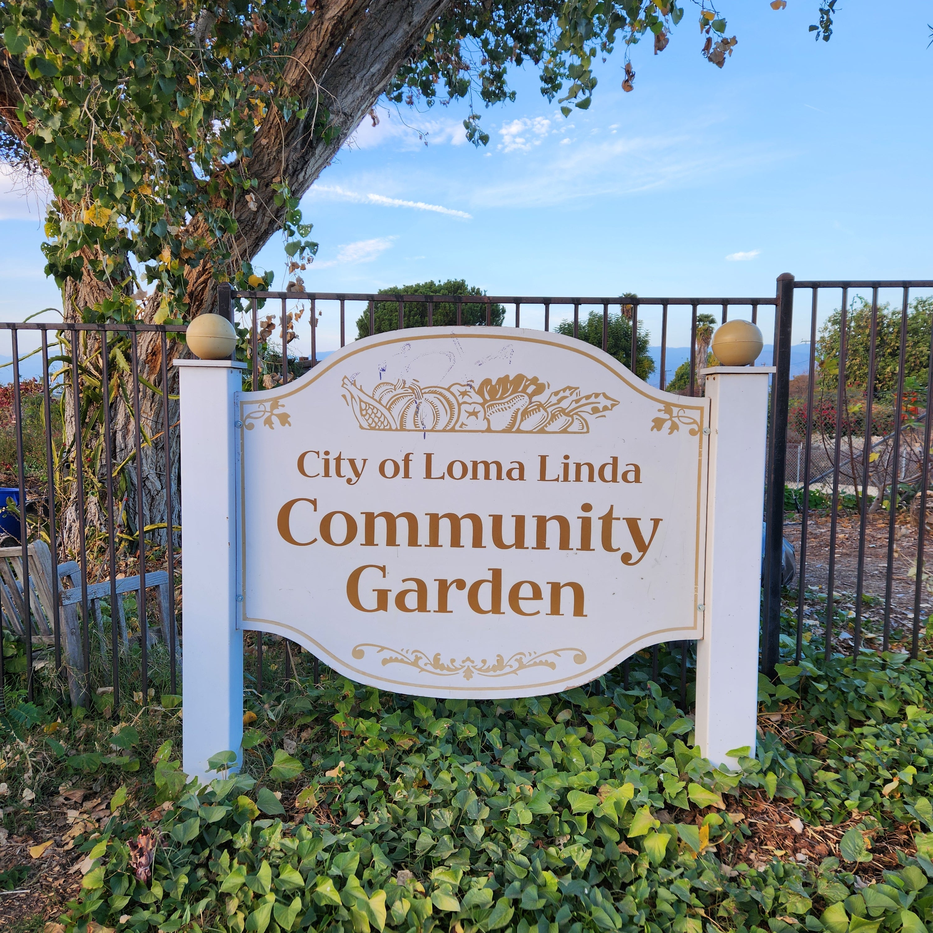 Orangery Gives Back to the Community - December 2024