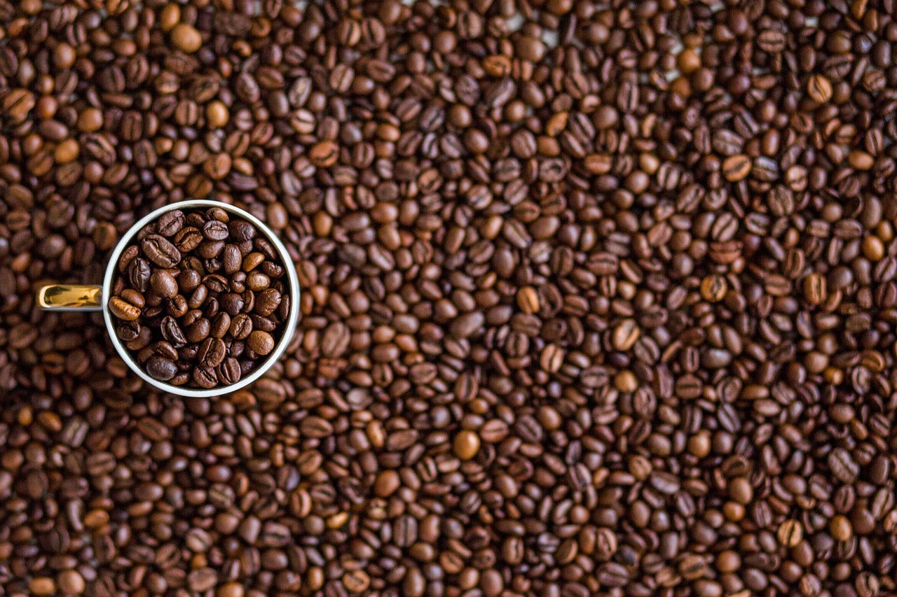 Welcome to Orangery Coffee